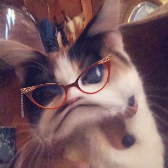 Meet your Posher, Carrie - Picture 1 of 1